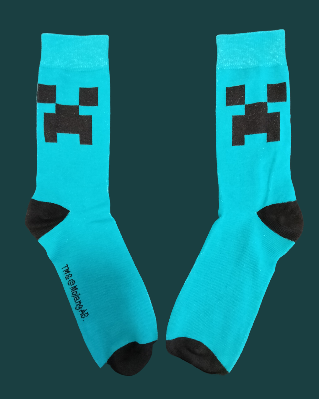 Minecraft - 6