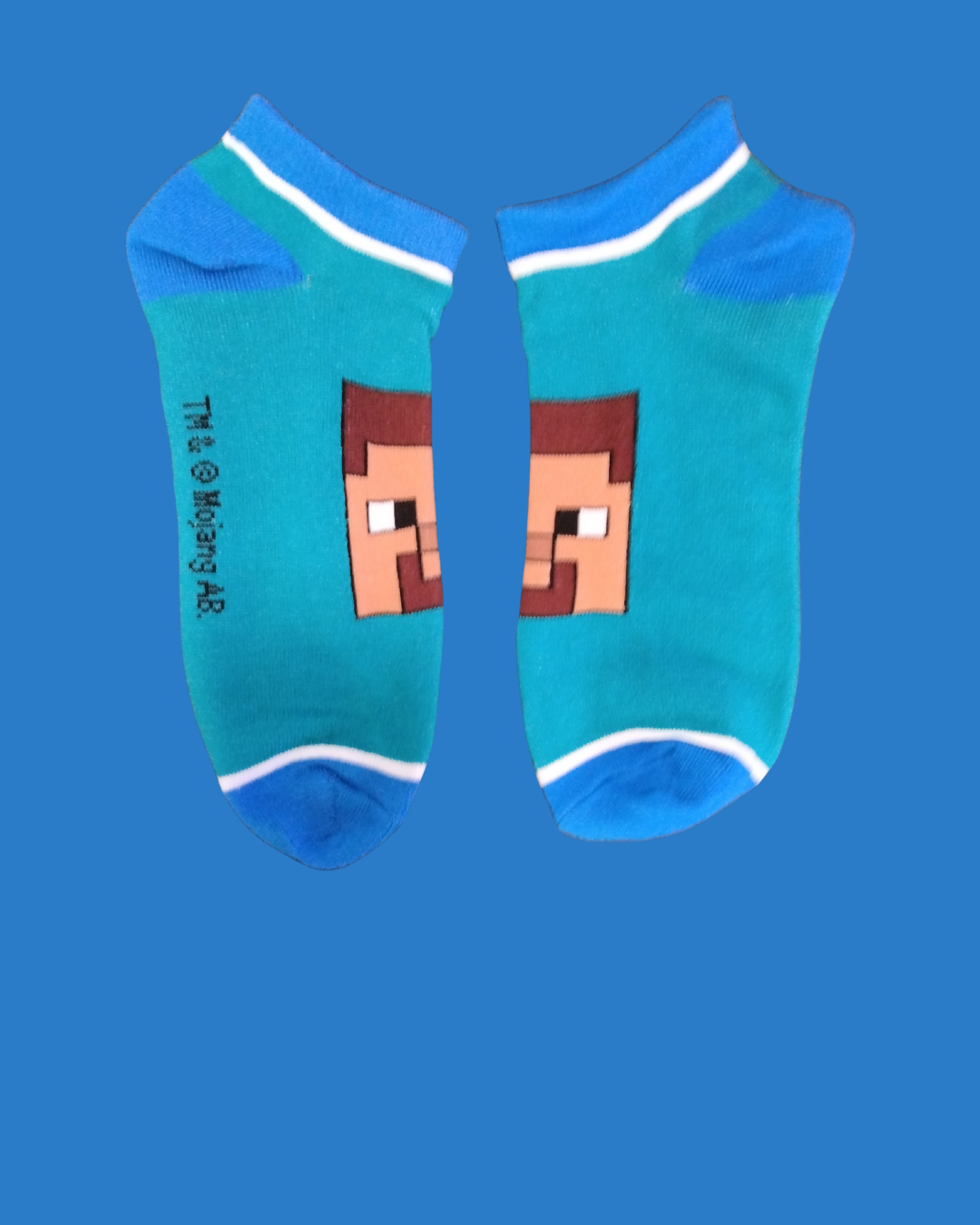 Minecraft (Ankle Crew) - 7