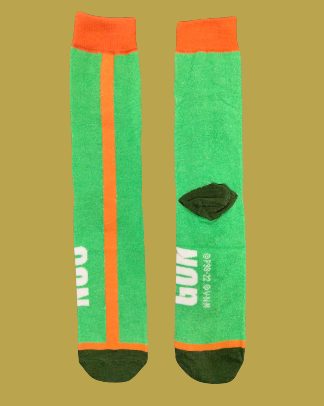 Hunter x Hunter - 5 (Gon)