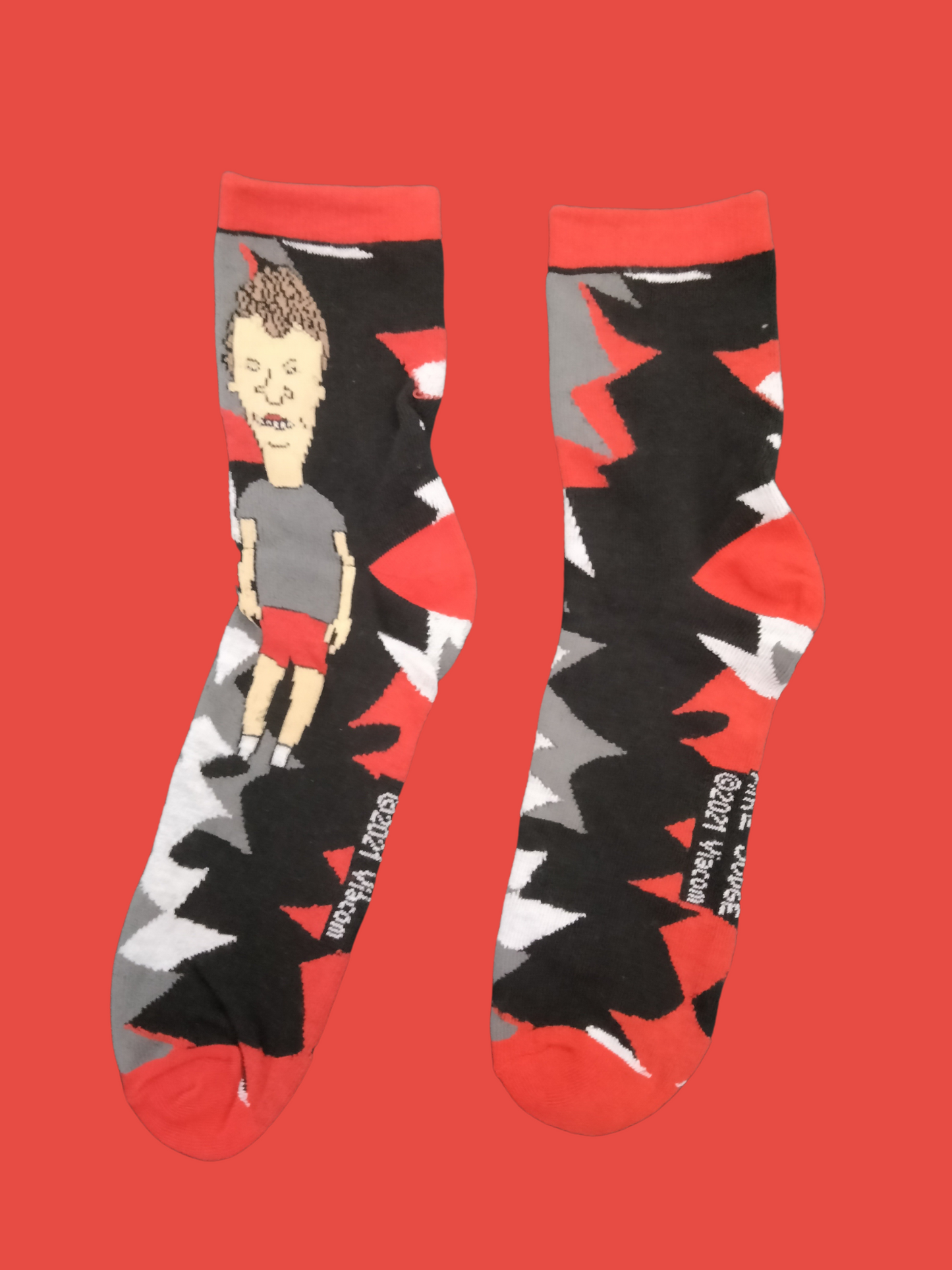 Beavis & Butt-head - 5