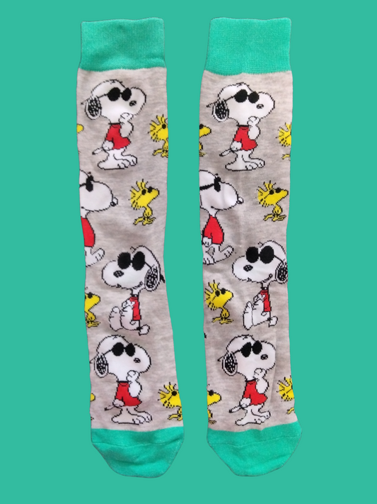 Snoopy - 6