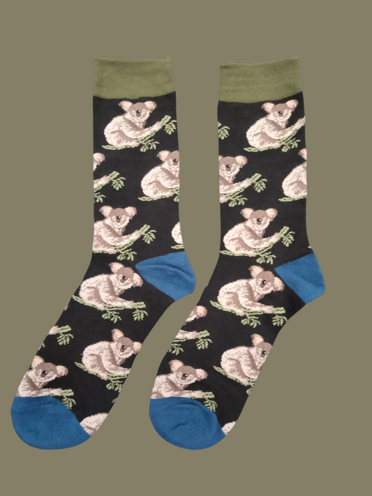Koala