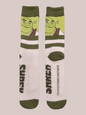 Shrek - 1