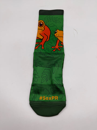 Coquí de Puerto Rico