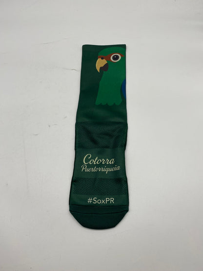 Cotorra Puertorriqueña